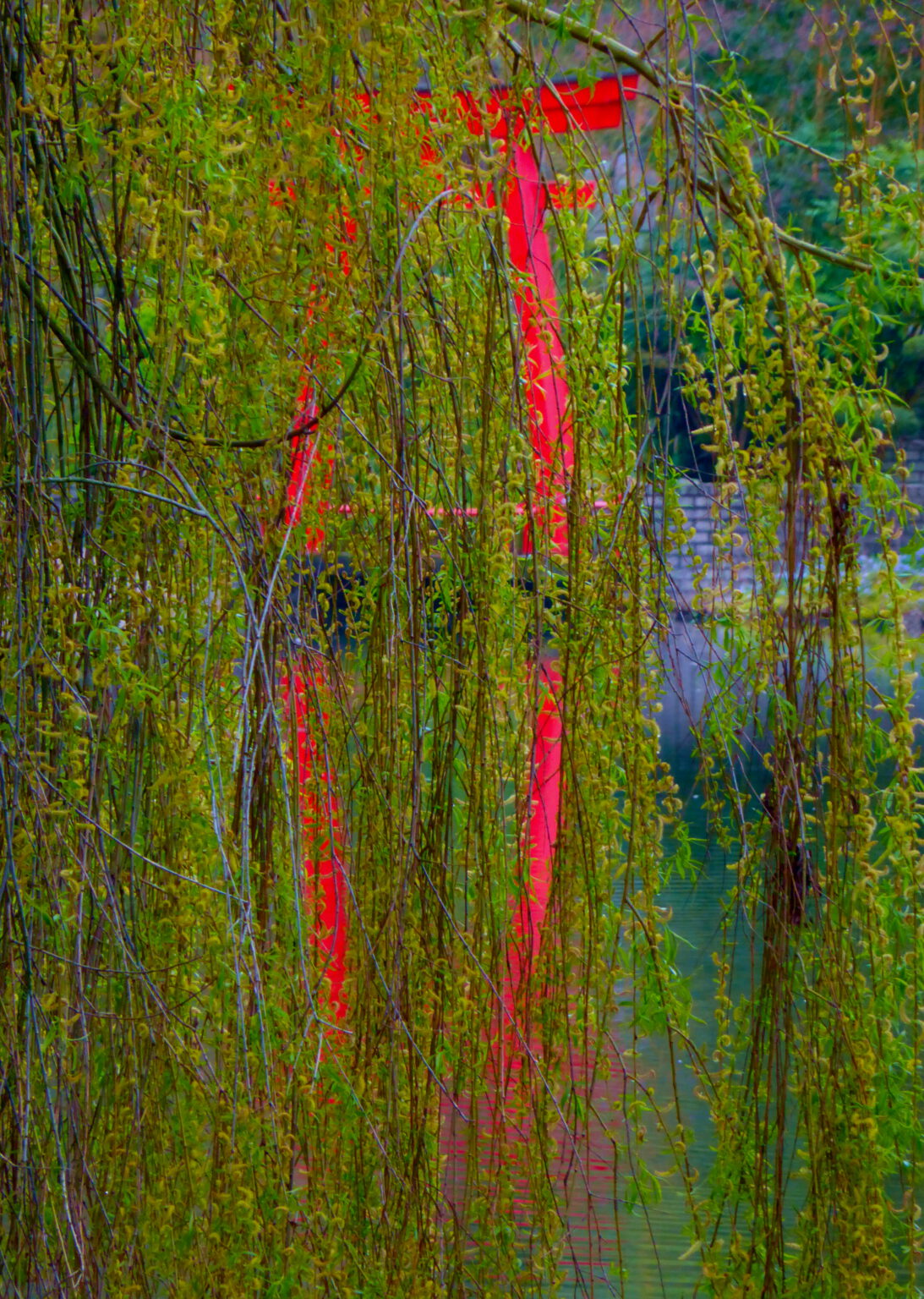 Perception In Photography How we see - Visual perception in photography