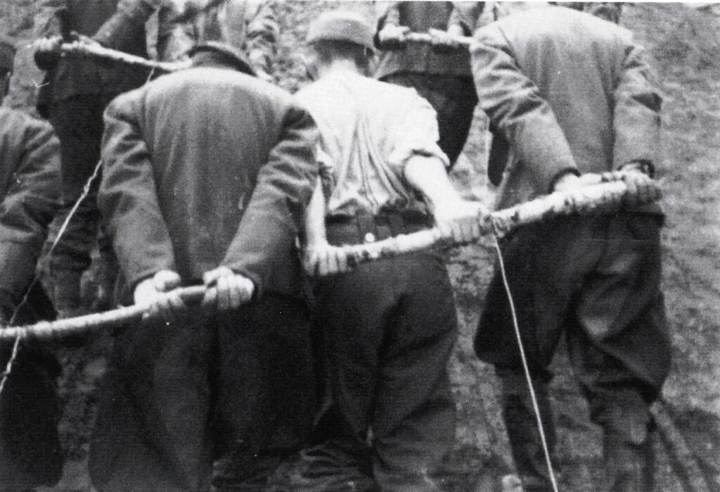 Transport of tree trunks in Selenodolsk camp near Jelabuga, September 1945,<br>by courtesy of Waxmann Verlag, Germany ©