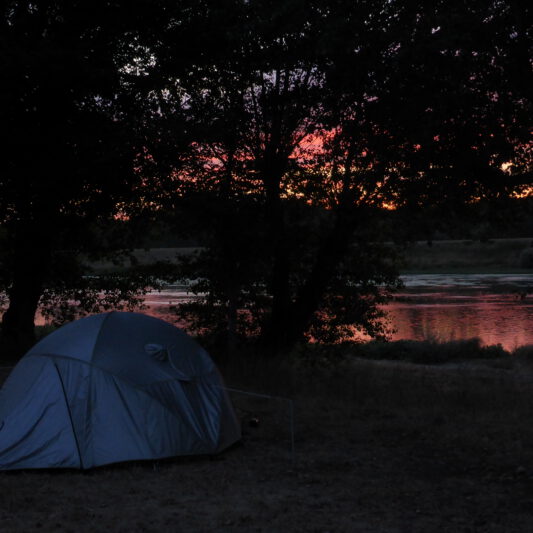Chaumont-sur-Loire, France, 2019, Lumix TZ41