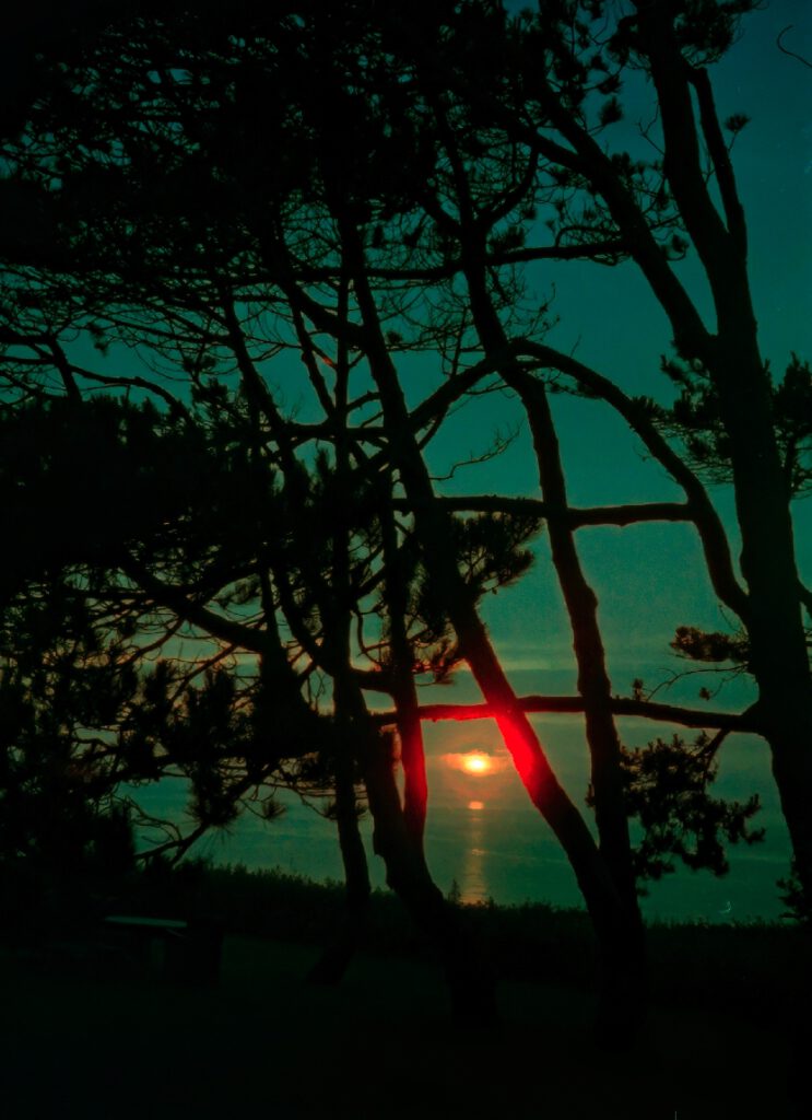 Pourville, France, 2025, Minox A IIIs, CineStill50d