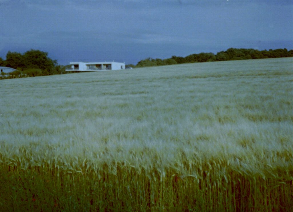 GIMP processed color negative, Minox A, Kodak Ektar 100