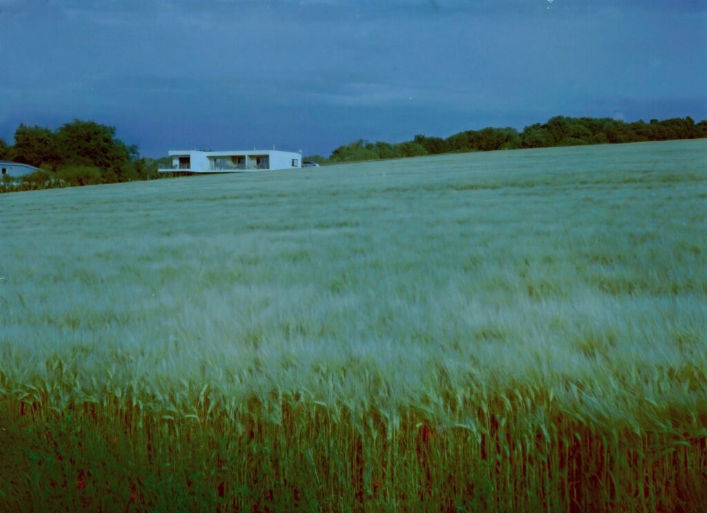 GIMP and Topaz DeNoise AI processed color negative, Minox A, Kodak Ektar 100