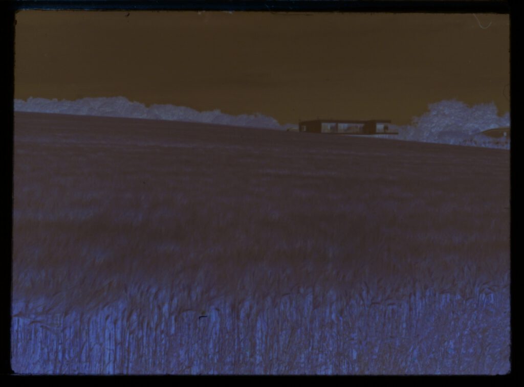 Color negative, Minox A, Kodak Ektar 100