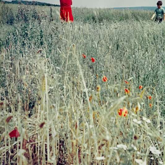 Marienmünster, Germany, 1975, Praktica L, Kodak Ektachrome